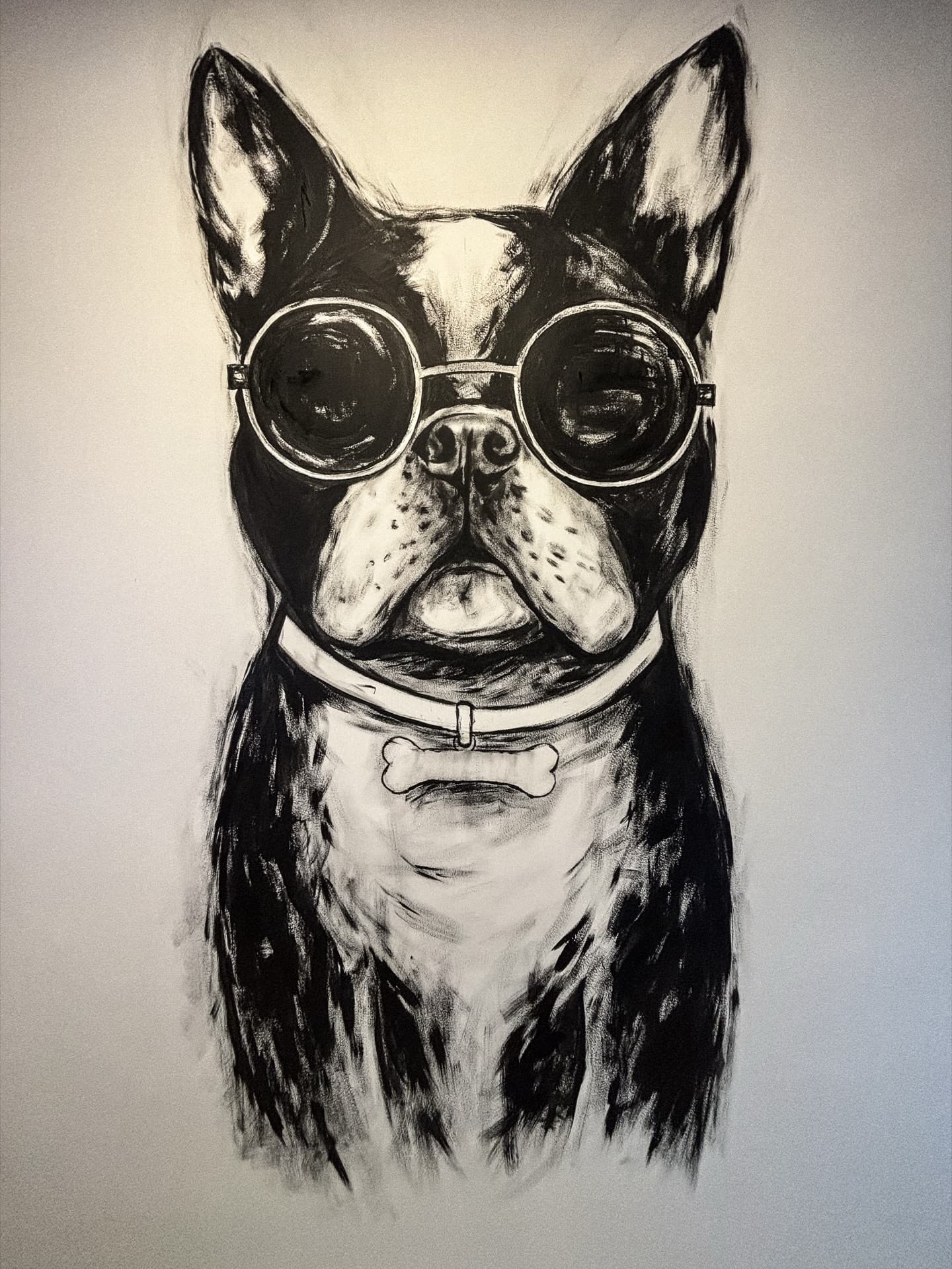 Caracara Andino — detalle.