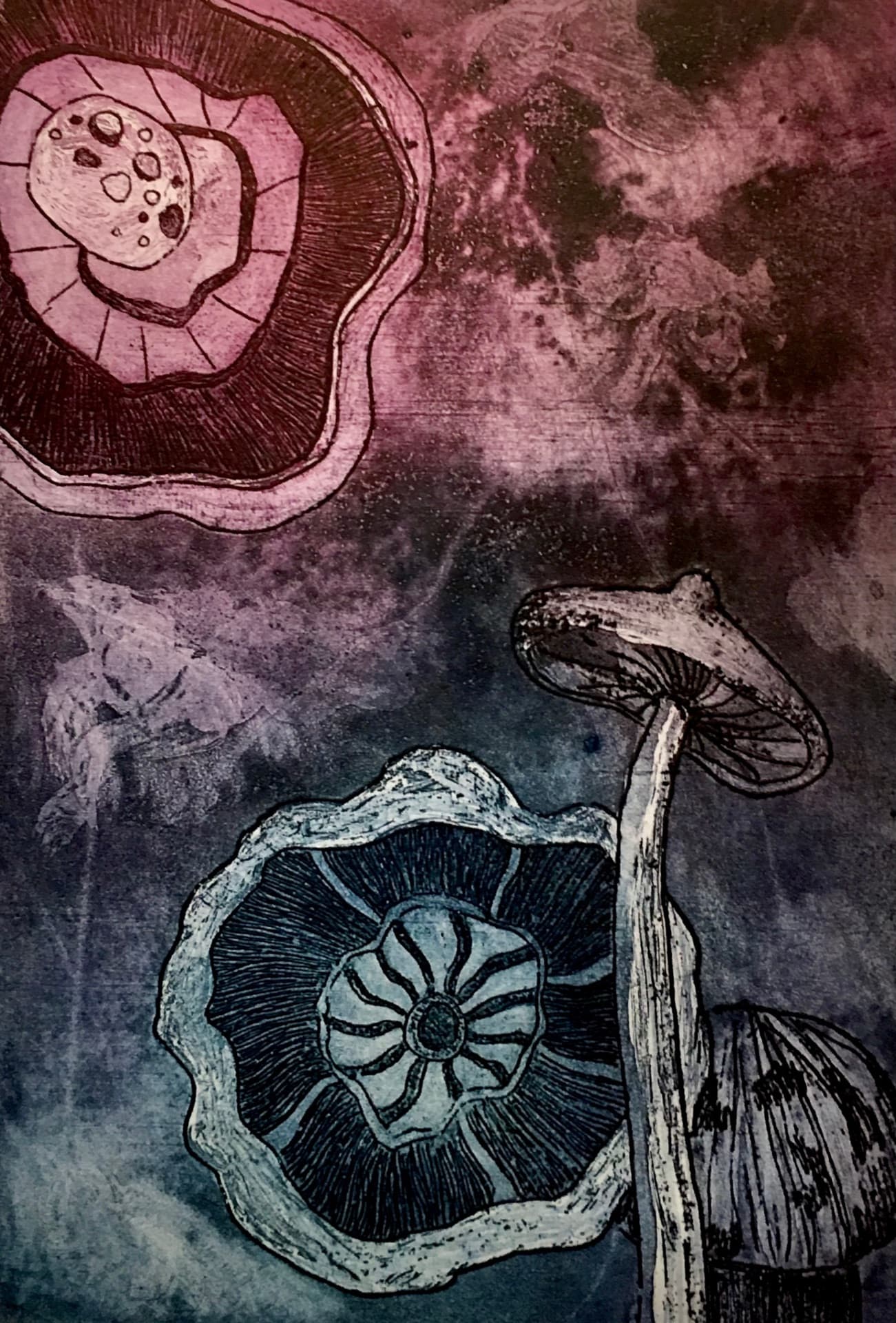 Grabado a tinta — animales.